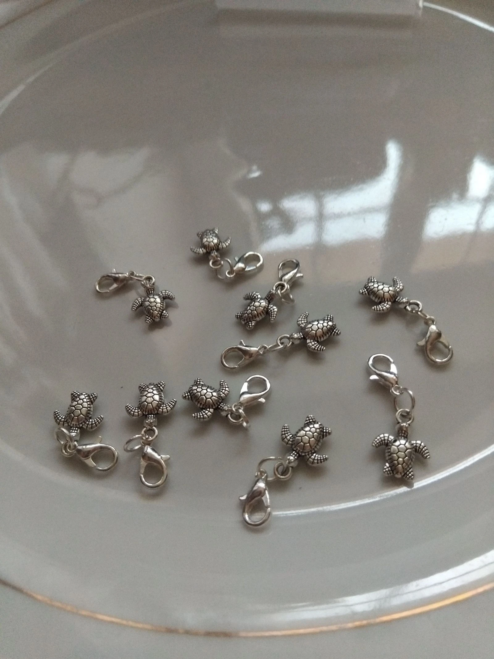 Minis tortues 🐢 